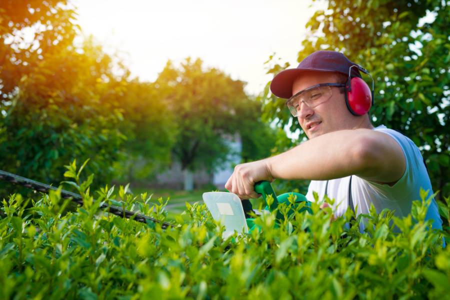Landscaping & Garden Care — Xpert Hands, Dubai