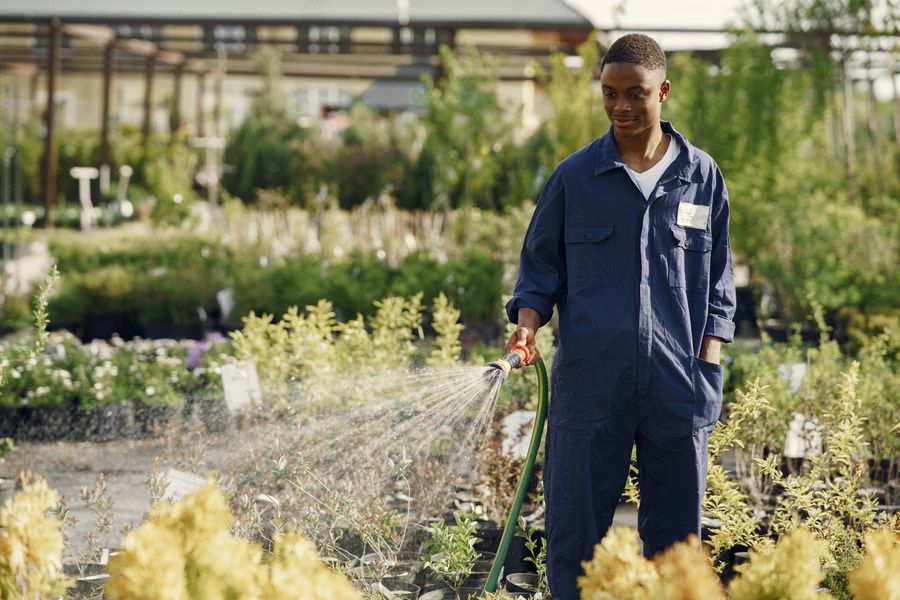 Landscaping & Garden Care — Xpert Hands, Dubai