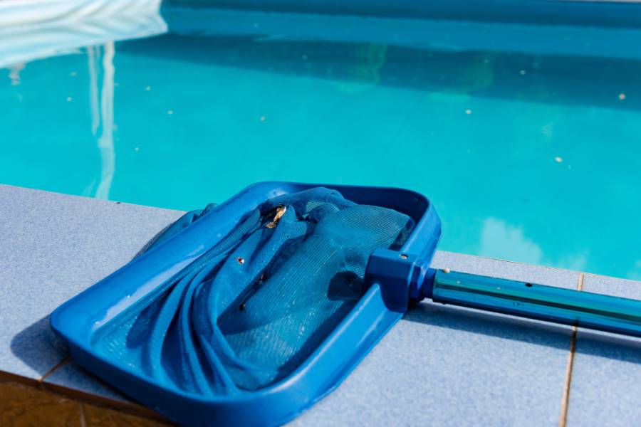Pool Care — Xpert Hands, Dubai